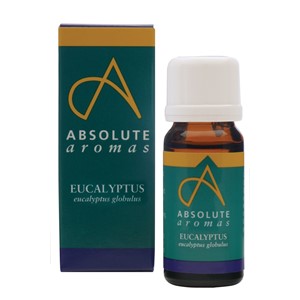 Absolute Aromas Essential Oil Eucalyptus 10ml
